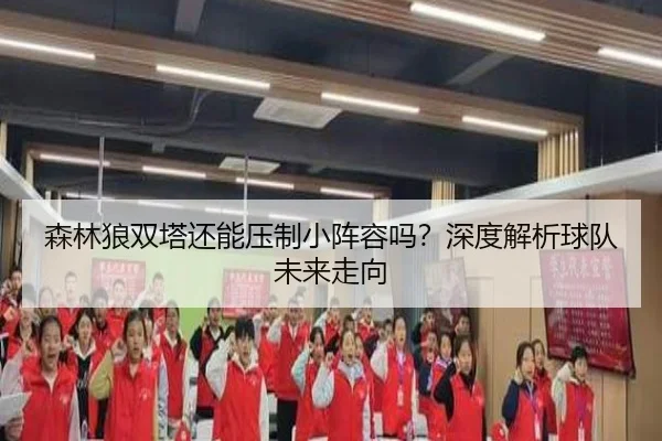森林狼双塔还能压制小阵容吗？深度解析球队未来走向